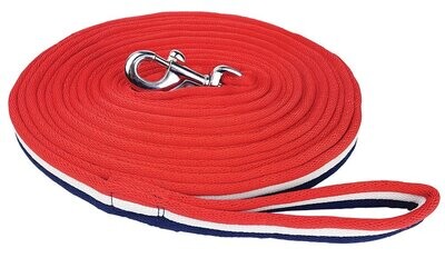 Zilco Brite Lunge Lead