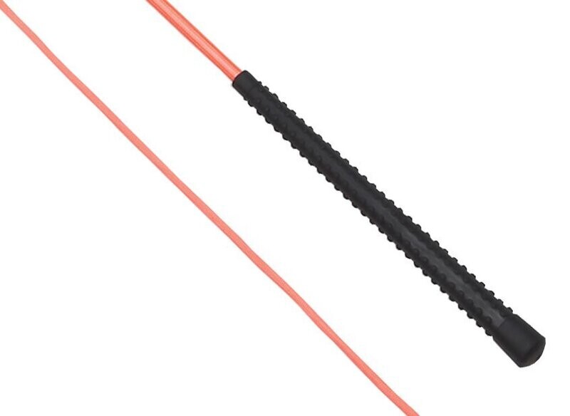 Zilco Neon Lunge Whip