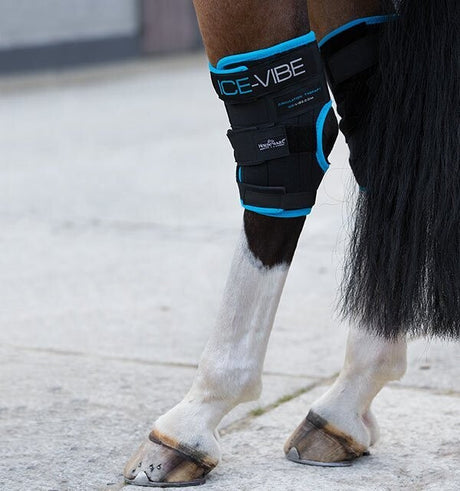 Horseware Ice Vibe Cold Circulation Hock Boot