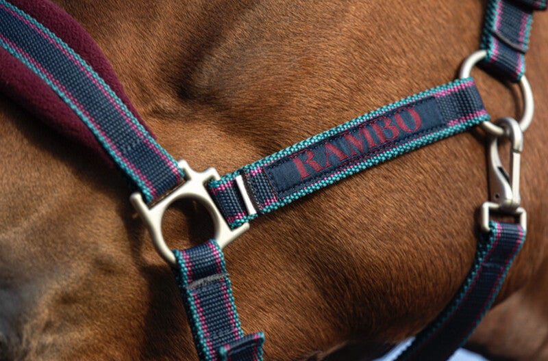 Horseware Rambo Padded Headcollar