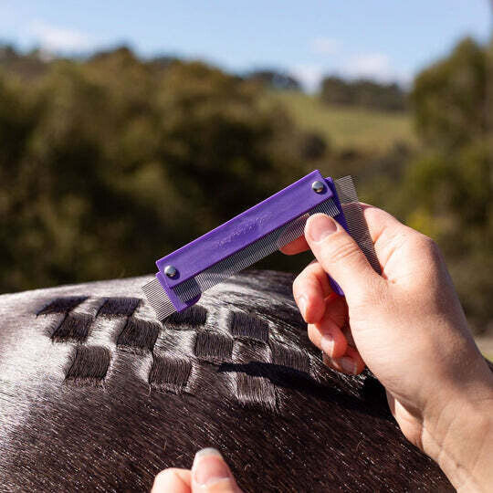 Hairy Pony Quarter  Mark Comb