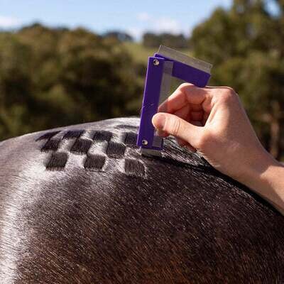 Hairy Pony Quarter  Mark Comb