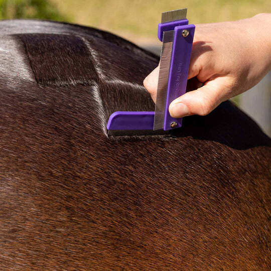 Hairy Pony Quarter  Mark Comb