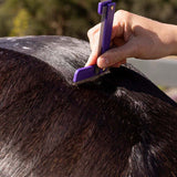 Hairy Pony Quarter  Mark Comb