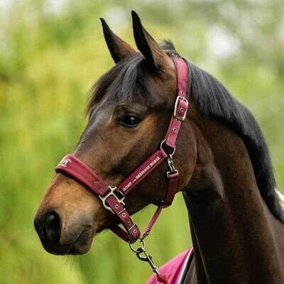 Aubenhausen  Classic Halter & Lead