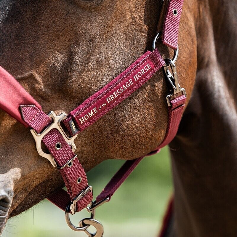 Aubenhausen  Classic Halter & Lead