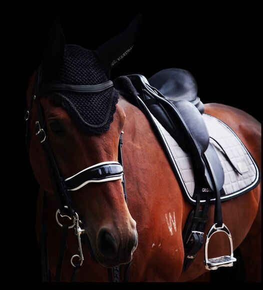 Iconic Equestrian Original 2 in 1 Dressage Pad