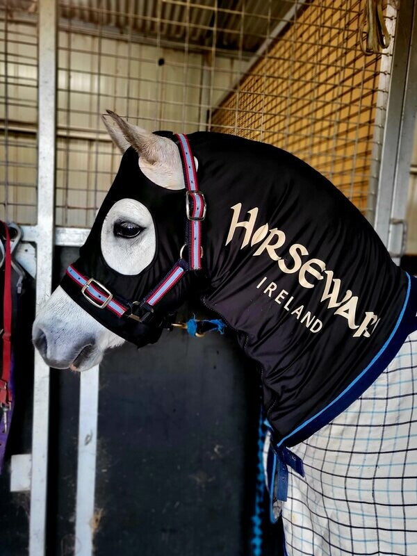 Horseware Slinky Hood