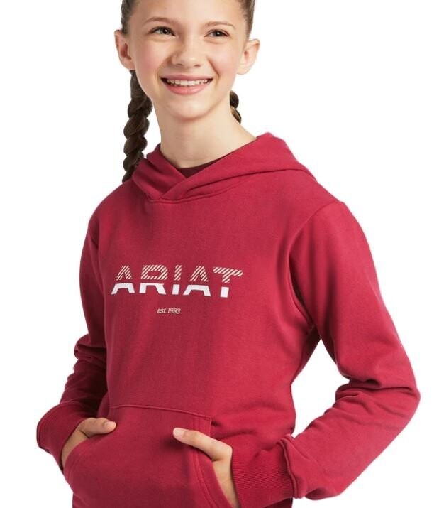 Ariat Kids 3D 2.0 Logo Hoodie