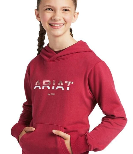 Ariat Kids 3D 2.0 Logo Hoodie