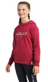 Ariat Kids 3D 2.0 Logo Hoodie