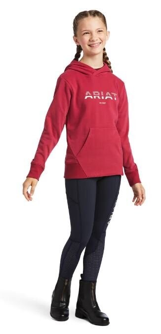 Ariat Kids 3D 2.0 Logo Hoodie