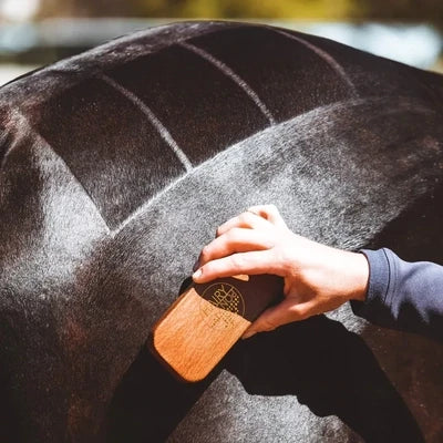 Hairy Pony Quarter Mark Brush