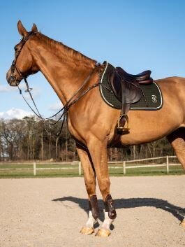 PS of Sweden Elite Jump Saddle Pad