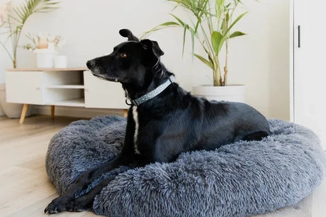 DG Paws Calming Plush Beds