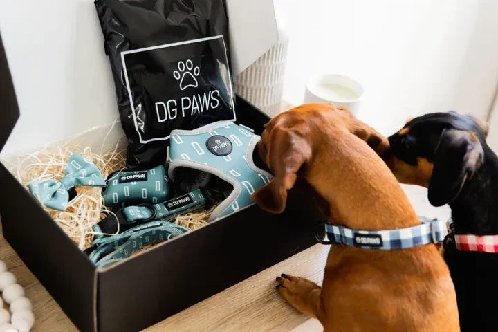 DG Paws Hugo Bundle