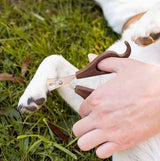 Hairy Pony Pooch Pamper Kit