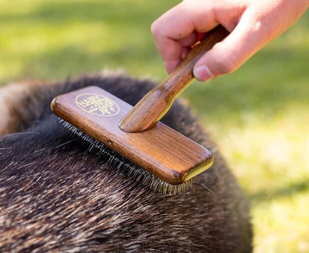 Hairy Pony Pooch Deshedding Brush