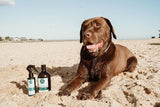 Hairy Pony 3 in 1 Pooch Spritz