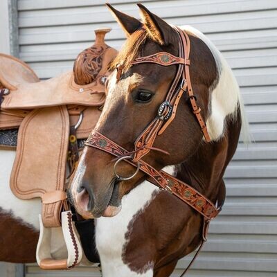 Fort Worth Western Bridles