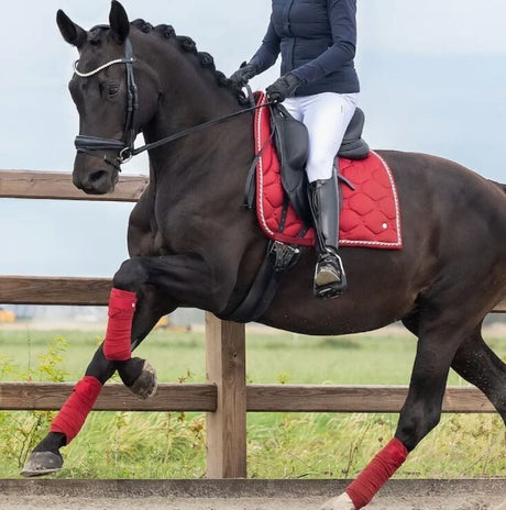 PS of Sweden FW23 Signature Dressage  Pad