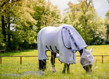 Horseware Amigo Bug Buster