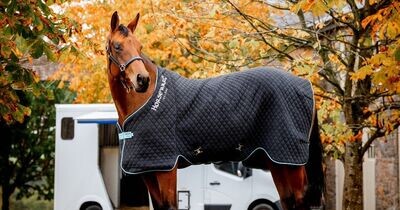 Horseware Rambo Autumn Cooler