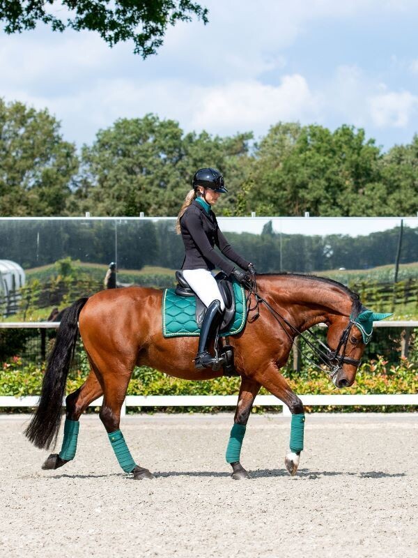 PS of Sweden FW23 Signature Dressage  Pad