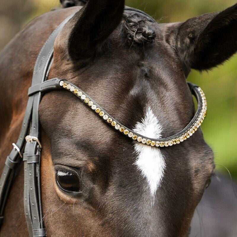 Lumiere Browband