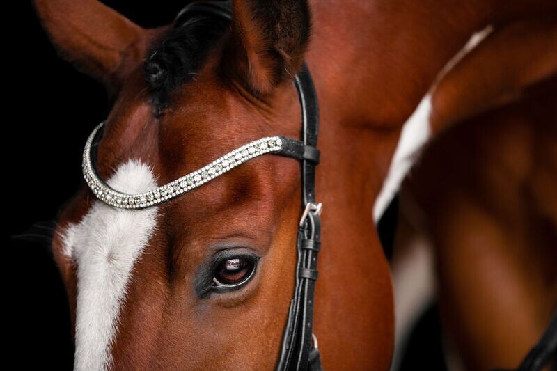 Lumiere Browband