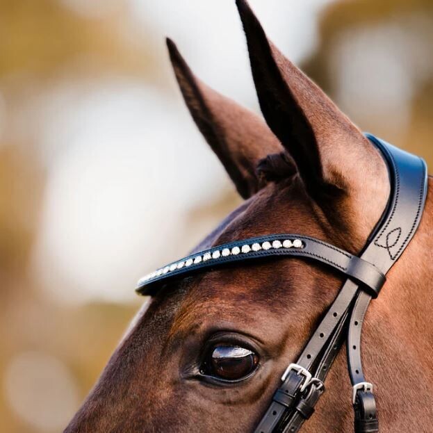 Lumiere Browband