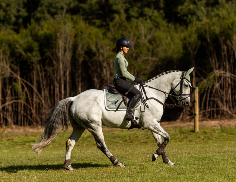 Lumiere Anka Leather Breastplate