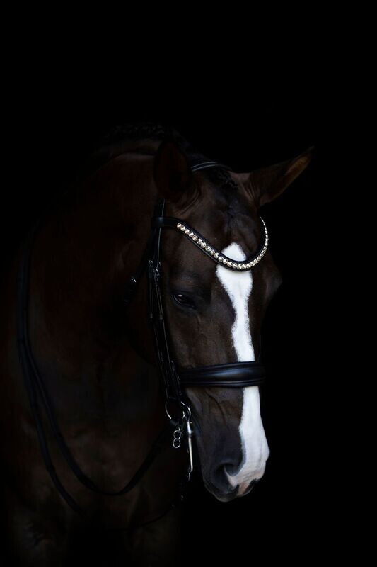 Lumiere Athens Luxury Double Bridle