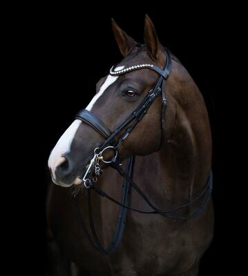 Lumiere Athens Luxury Double Bridle