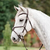 Lumiere Ava Grackle Bridle