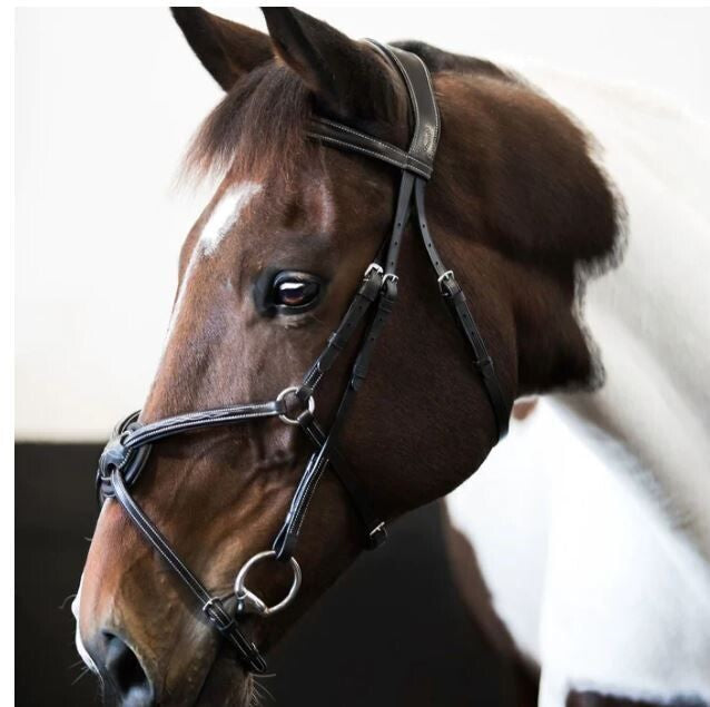 Lumiere Ava Grackle Bridle