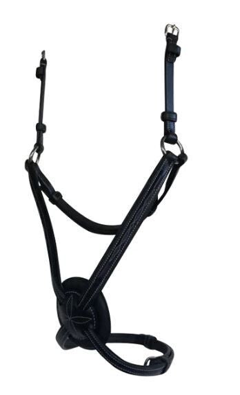 Lumiere Ava Grackle Bridle