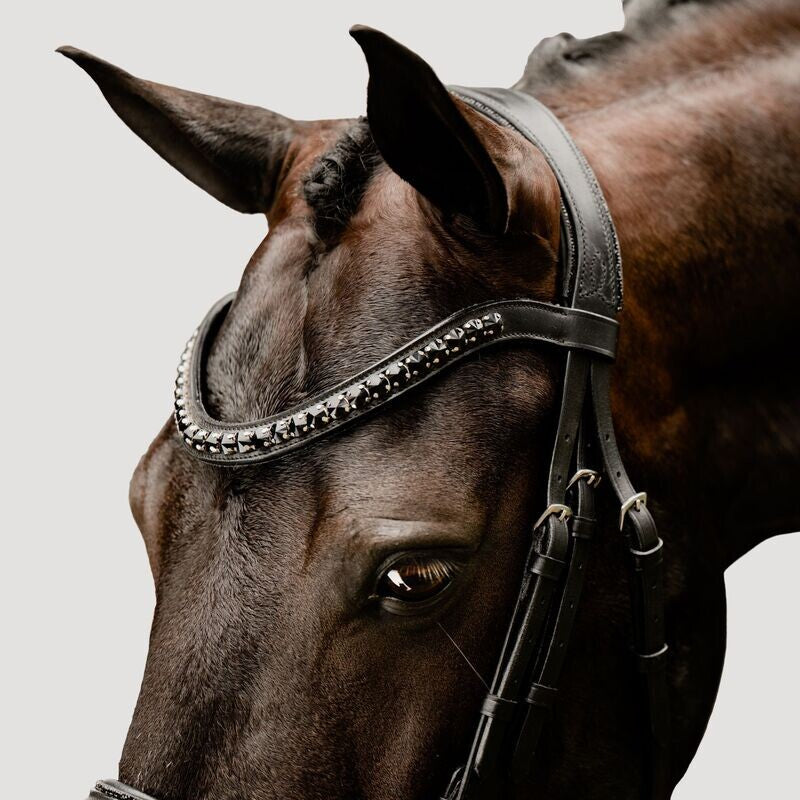 Lumiere Arcadia Luxury Cavesson Bridle