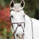 Lumiere Ava Grackle Bridle