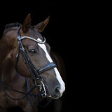 Lumiere Athens Luxury Double Bridle