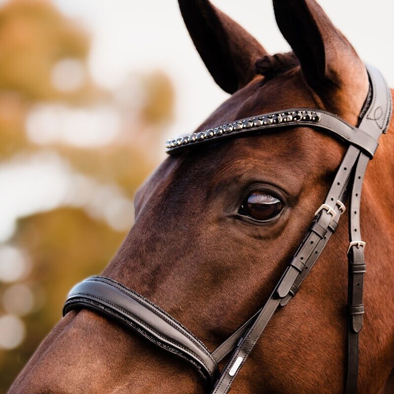 Lumiere Arcadia Luxury Cavesson Bridle