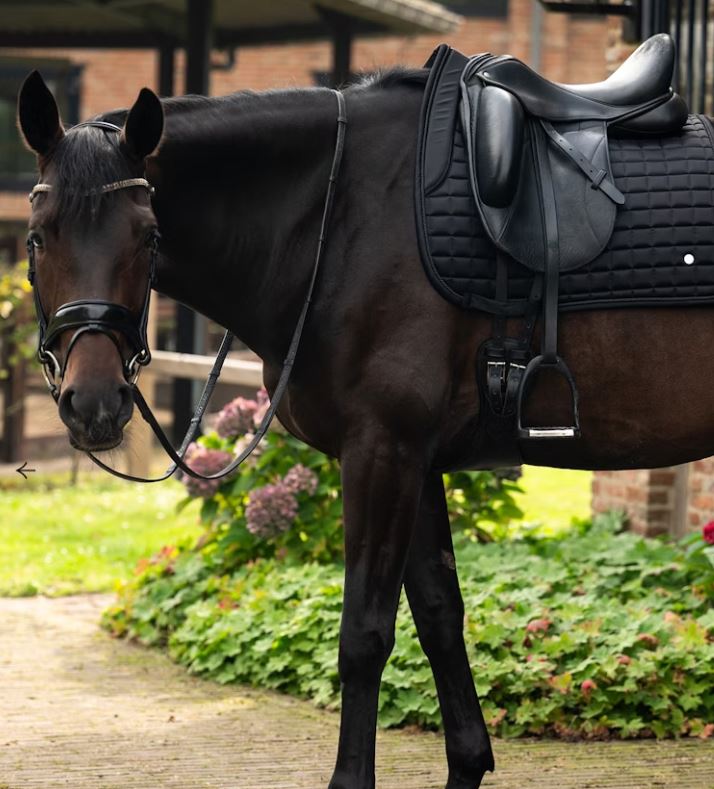 PS of Sweden FW24 Classic Quilted Dressage Pad