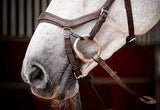 Horseware Micklem II Competition Bridle