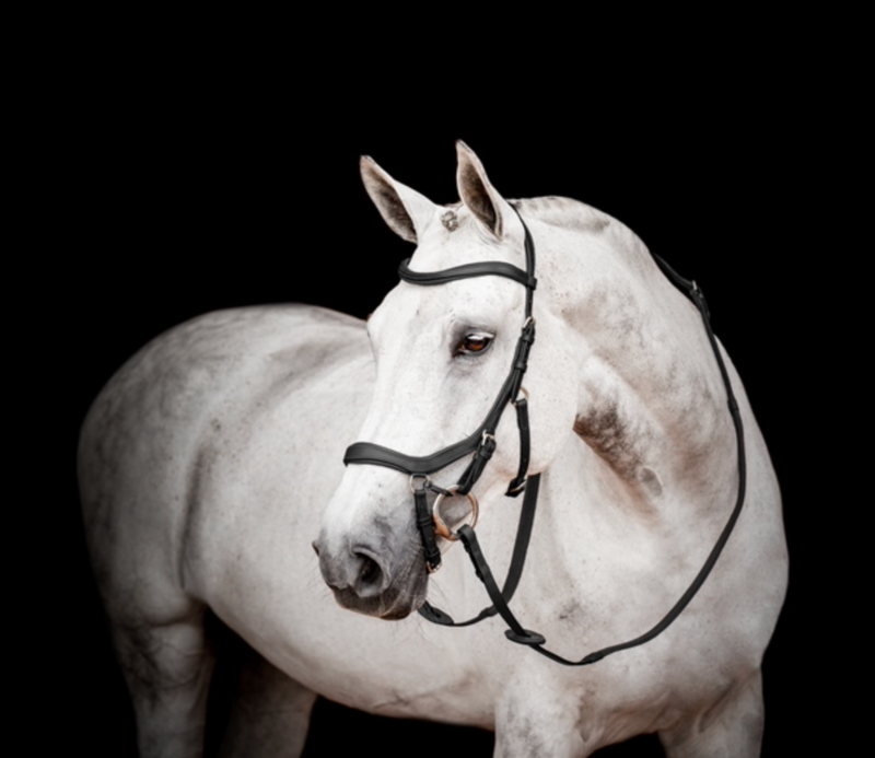 Horseware Micklem II Competition Bridle