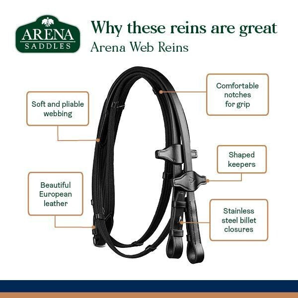 Arena Web Reins