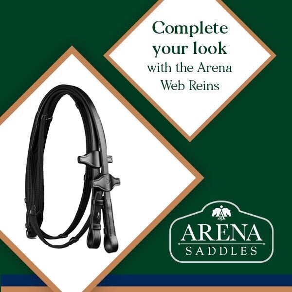 Arena Web Reins