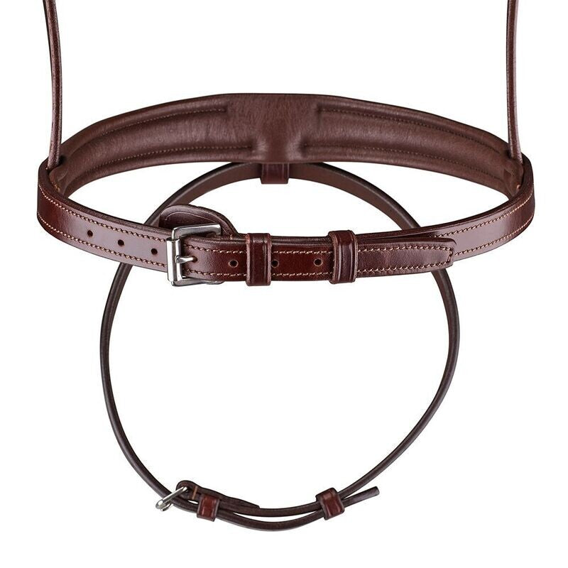 Arena Comfort Bridle