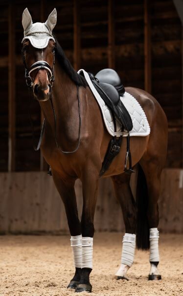 PS Of Sweden SS24 Ruffle Pearl Dressage Pad