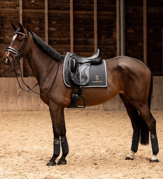 PS of Sweden SS24 Elite Edge Dressage Pad