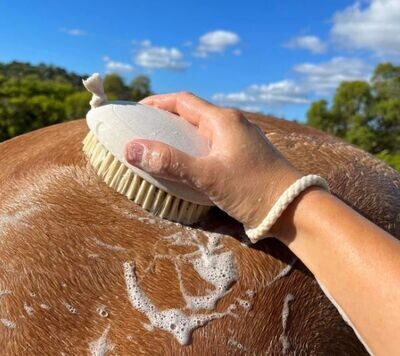 Hairy Pony Wash Bay Brush